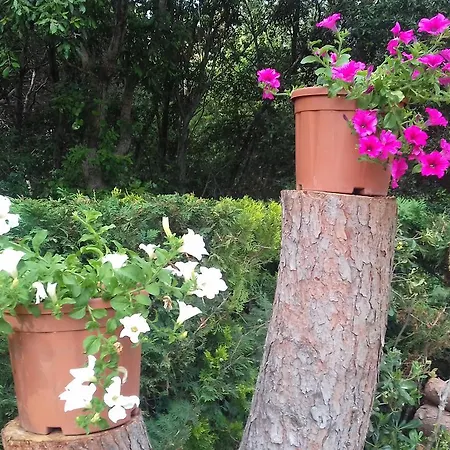 B&B De' Macchiaioli 푼타알라