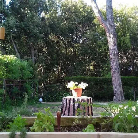 De' Macchiaioli Couette-café Punta Ala